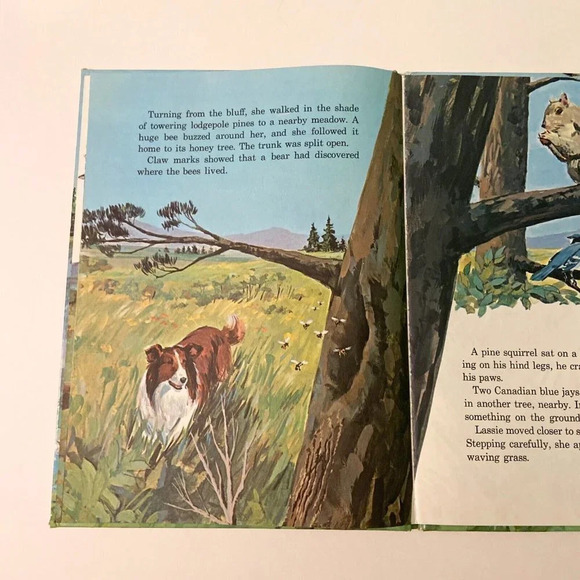 Vintage 1973 Lassie And the Secret Friend A Golden Book  by Kennon Graham - Picture 11 of 16